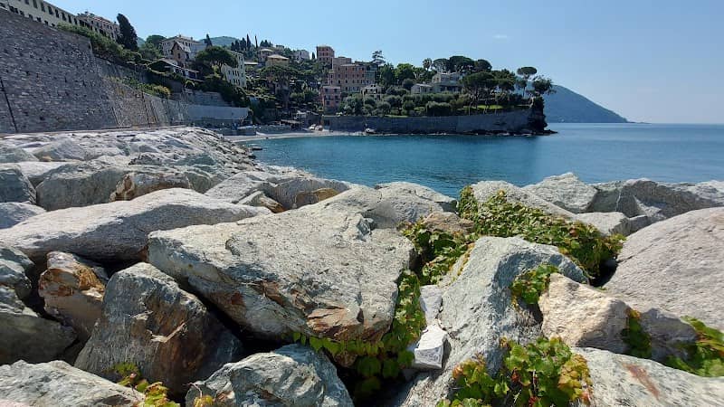 Moli Foranei - Image 1