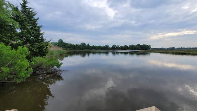 Lebanon Landing - Image 2