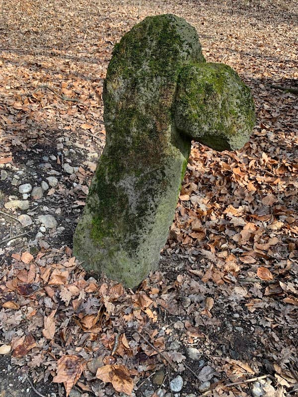 Krížny kameň (Ťahanovský les) - Image 1