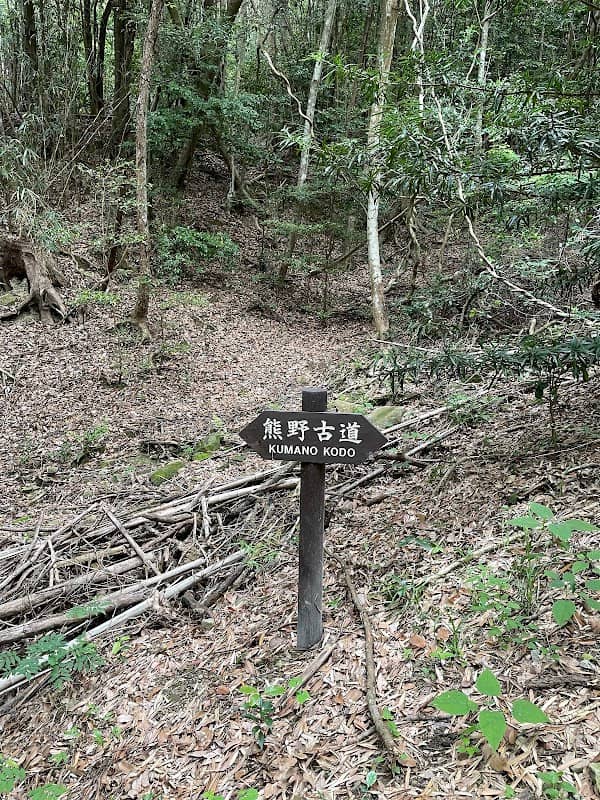 Ichiri-Matsu Pine Tree Site (Kumano-Kodo Ohechi Pilgrimage Route - Tondazaka) - Image 3
