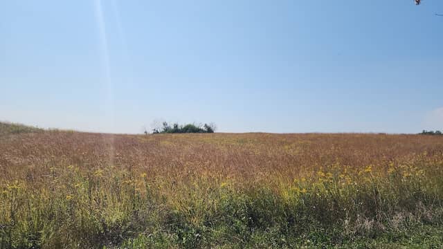 Sunny Peace Prairie - Image 1