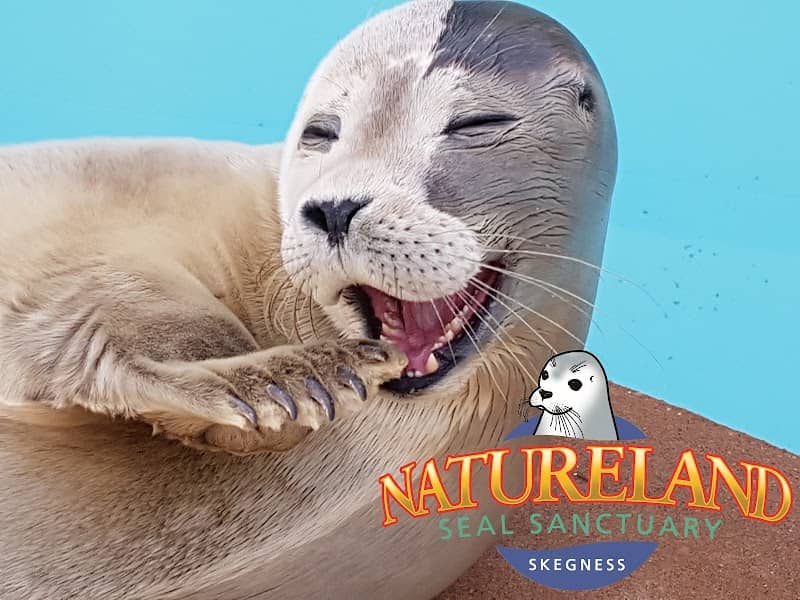 Natureland Seal Sanctuary (Skegness) - Image 1