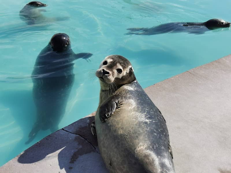 Natureland Seal Sanctuary (Skegness) - Image 2