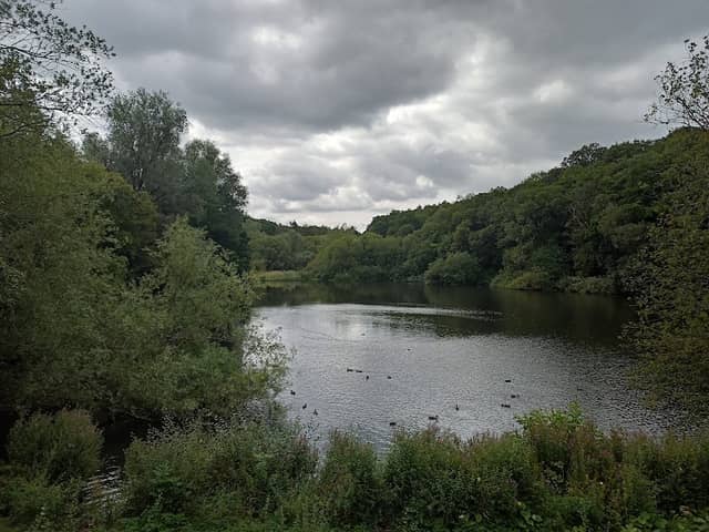 Deep Hayes Country Park - Image 1