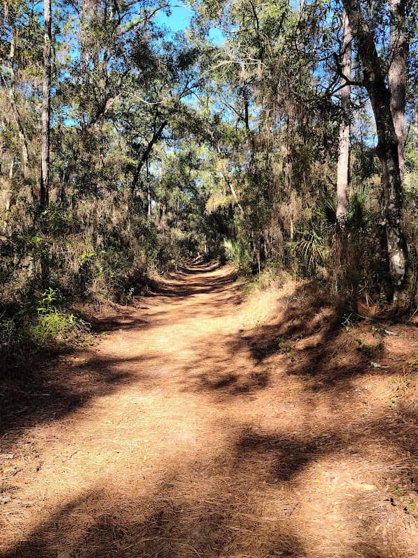 Whispering Pines City Park - Image 1