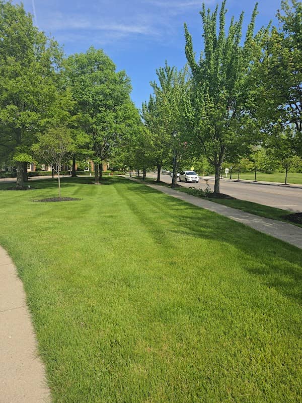 Market St Park - Image 1