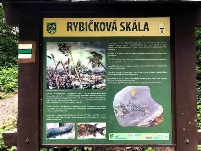 Rybičková rock - Image 1