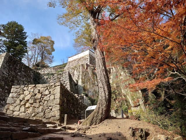 Tenshu (Bitchu Matsuyama Castle) - Image 2