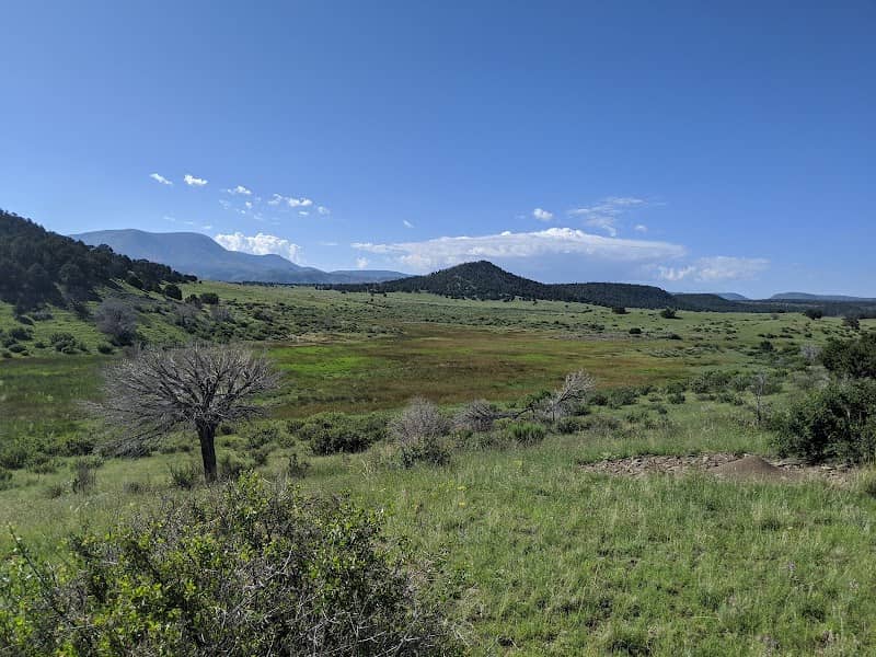 Sipe White Mountain Wildlife Area - Image 3