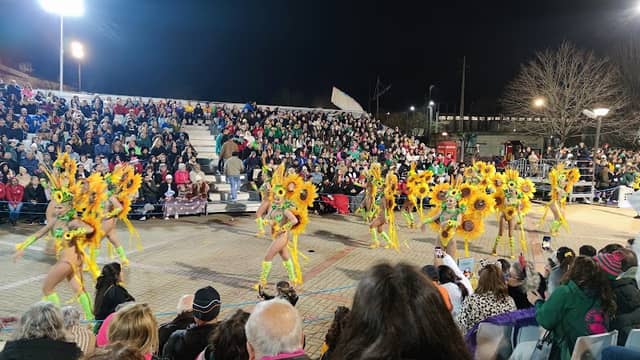 Sitio do Carnaval de Estarreja - Image 1