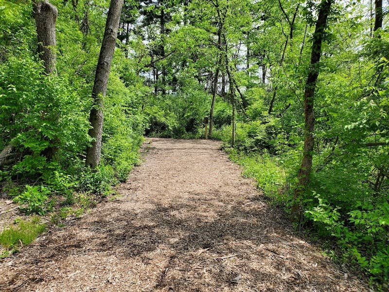 Rosemont Park Nature Reserve - Image 1