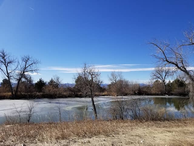 Highline Canal - Image 1
