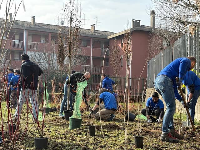 Giardino della Pioggia (Raingarden) - Image 1