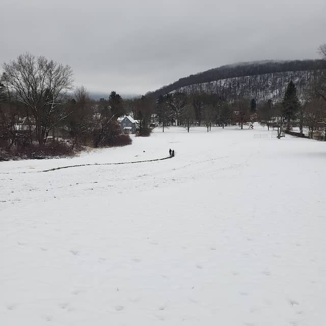 Mulberry Park - Image 2