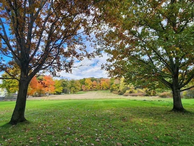 Mulberry Park - Image 1