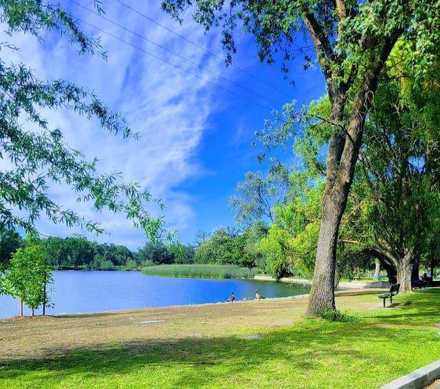 Lodi Lake - Image 2