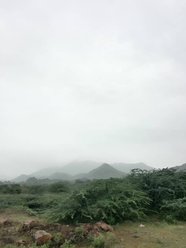 Aravali Hills - Image 1