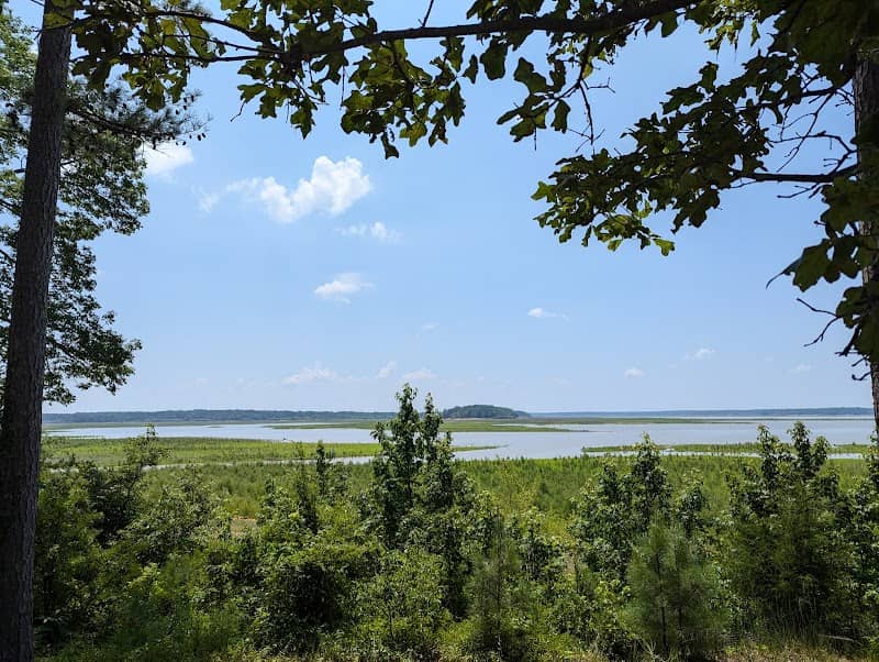 Arkabutla lake dam - Image 3