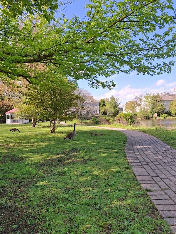 Peterkin Park - Image 1