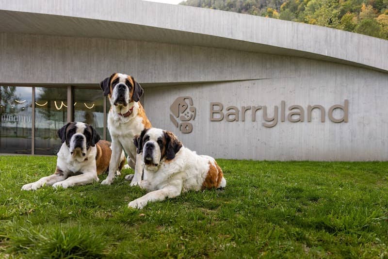 Barryland - Image 1