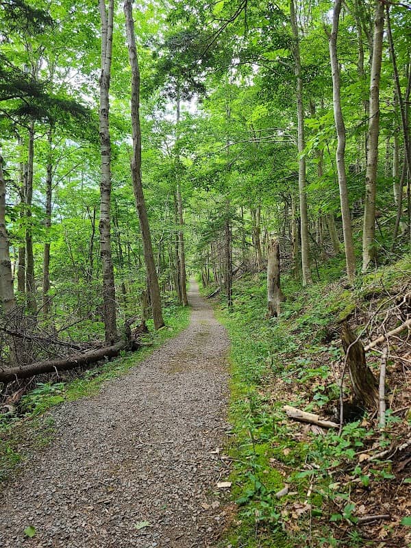 Le Chemin du Buttereau Trailhead - Image 2