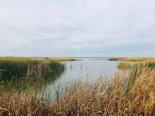 Cheyenne Bottoms Refuge - Image 2