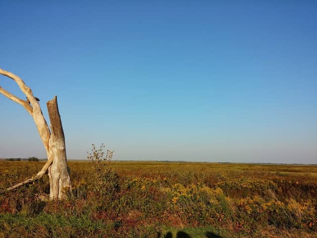 Cheyenne Bottoms Refuge - Image 1