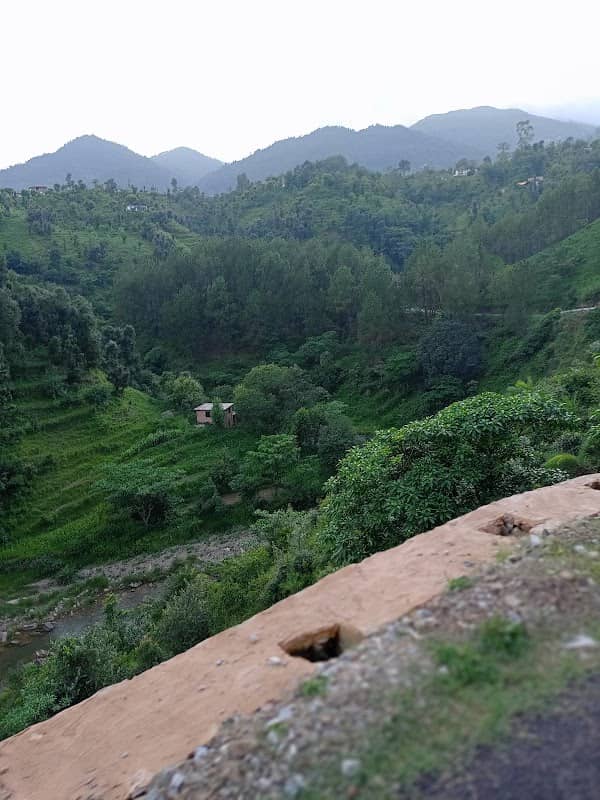 Mini kasol - Image 2