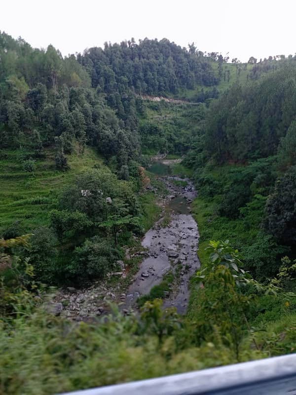 Mini kasol - Image 3