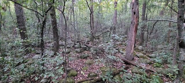 Lasley Point Archeological Site - Image 1