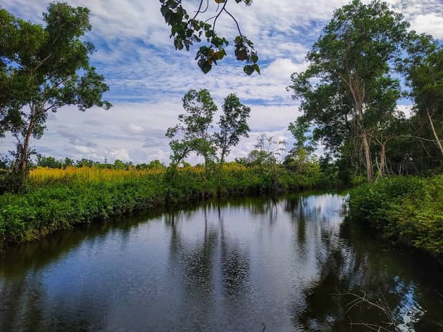 Kirala Kele Sanctuary - Image 1