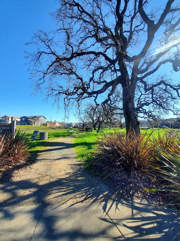 R T Mitchell Park - Image 2