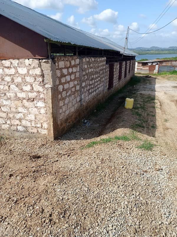 Mikindani Conservation Site - Image 1