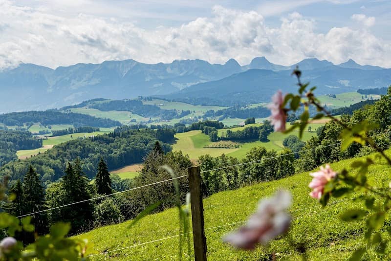 Alpenpanorama - Image 1