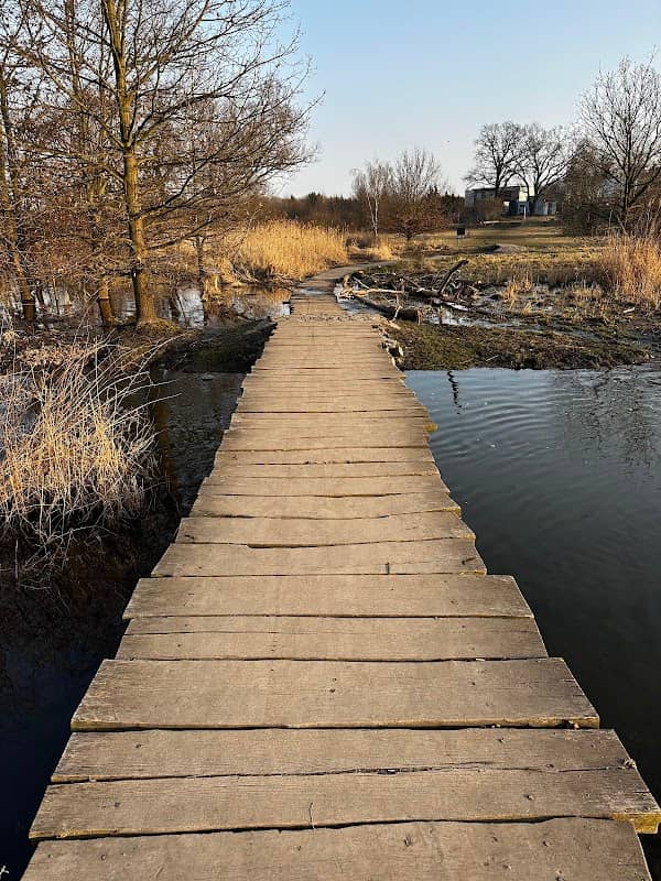 Přírodní park V pískovně - Image 2