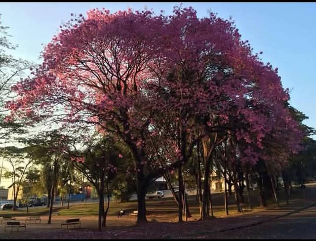 Praça Márcia Mendes - Image 1