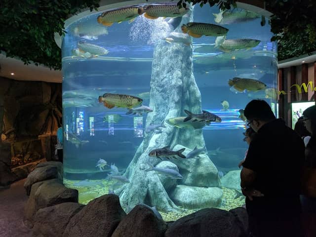 The Shore Oceanarium - Image 2