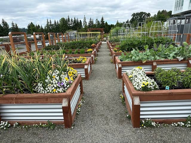 Feriton Spur Gardens - Image 2