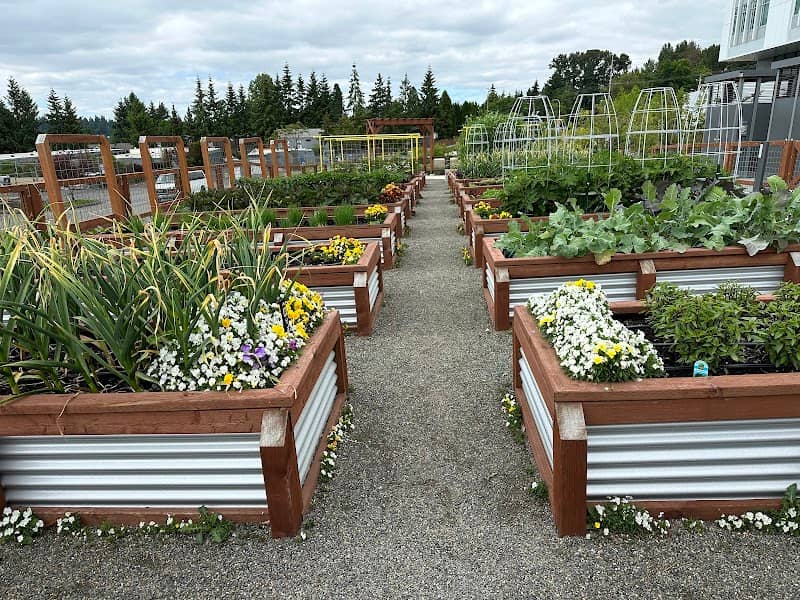 Feriton Spur Gardens - Image 2