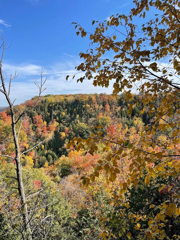 Beamer Memorial Conservation Area - Image 3