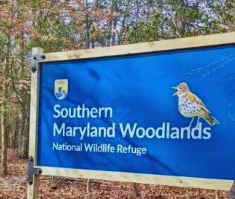 Southern Maryland Woodlands National Wildlife Refuge - Image 1