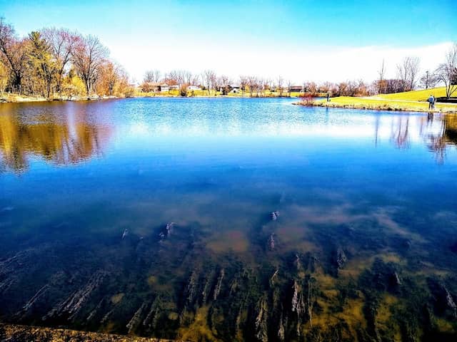 Trippe Lake Park - Image 1