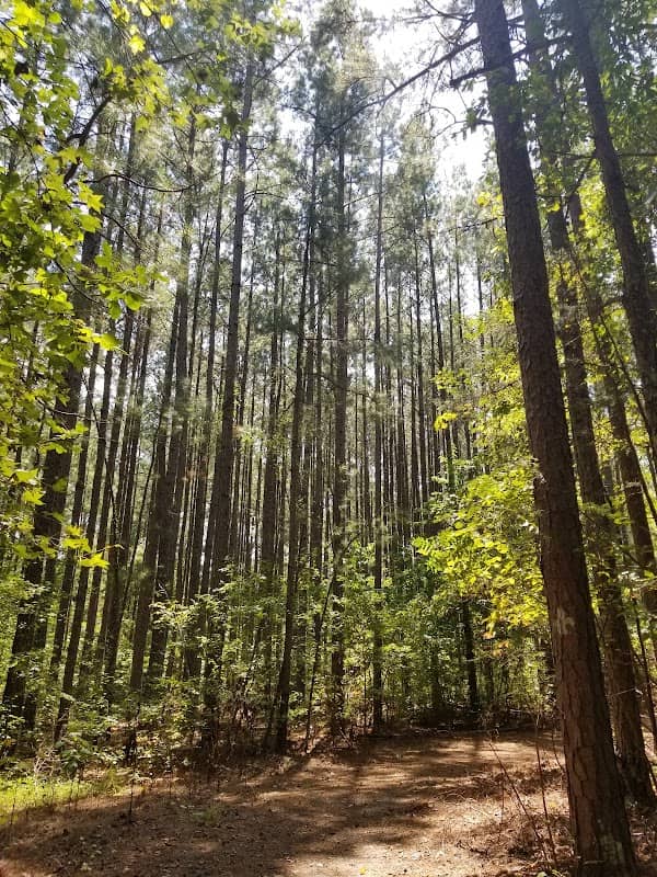The Gauntlet Fitness and Walking Trail - Image 2