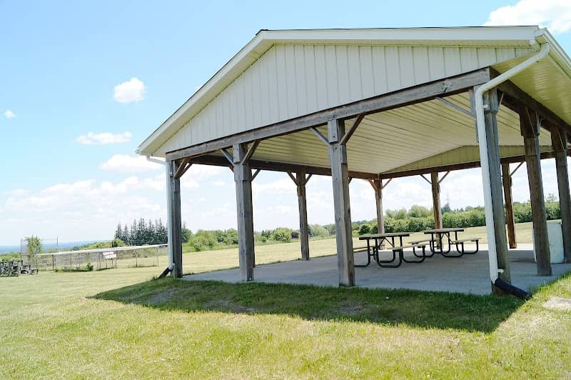 Lloyd Armstrong Memorial Park - Image 1