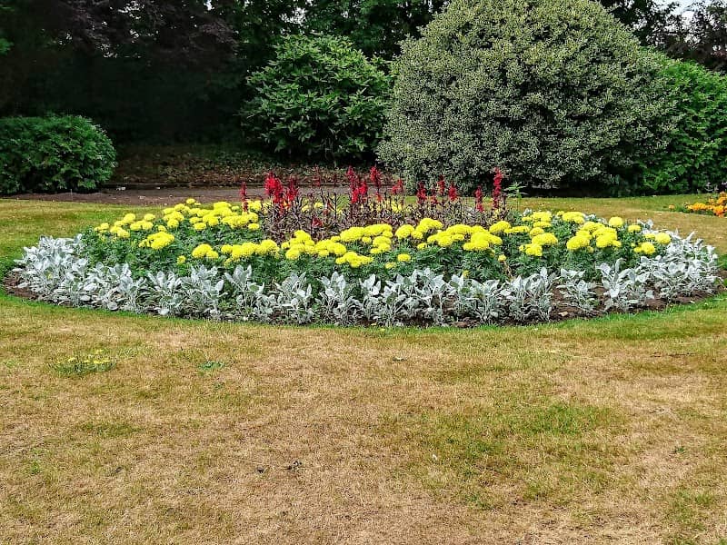 Birches Gardens - Image 2