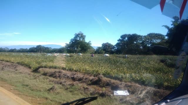 Crossing Purok 4 Park - Image 1