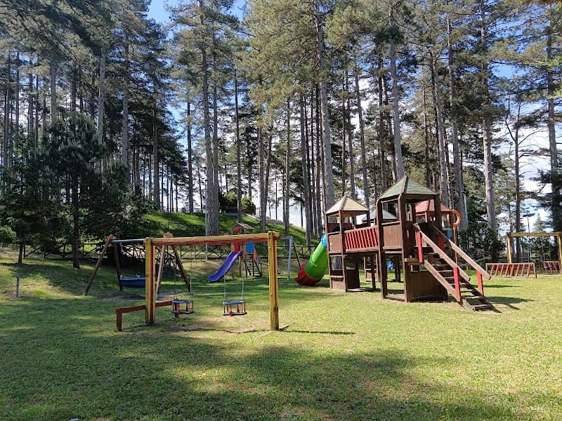 Pineta Comunale - Image 1