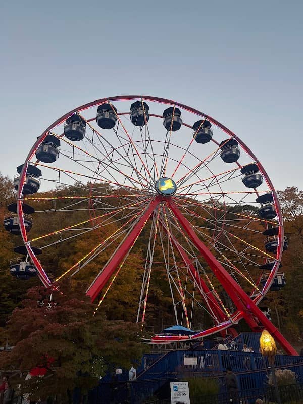 Ferris Wheel - Image 1
