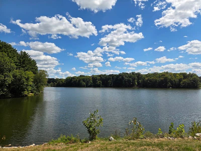 Knox Lake Dam - Image 2