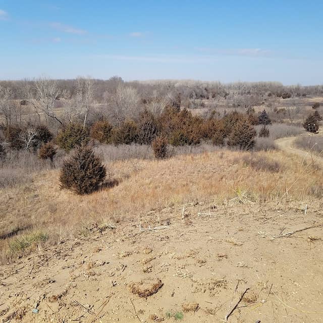 Sand Hills State Park - Image 1